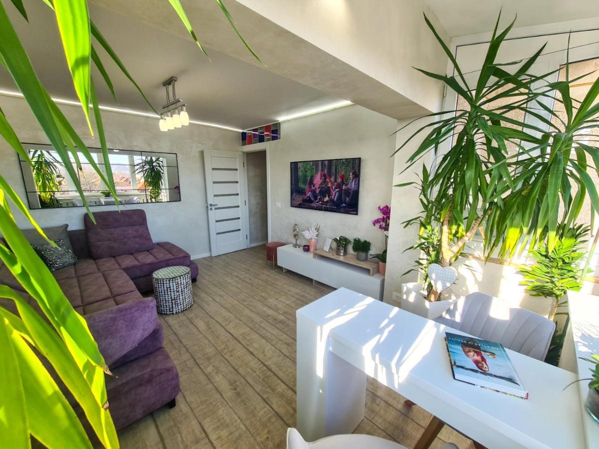 Elisa'S Place Făgăraş Eksteriør billede
